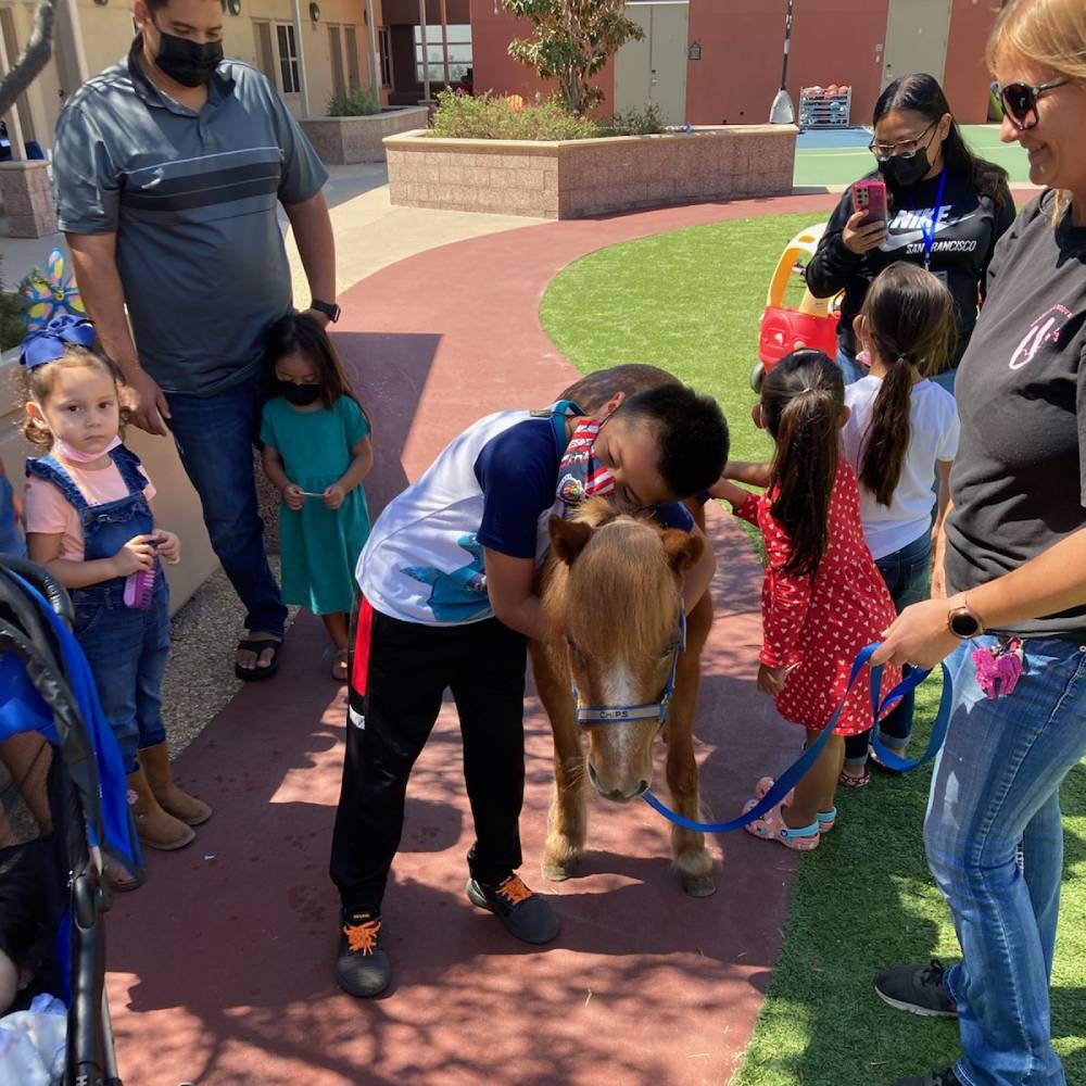 Chips, a therapy mini horse, at Ronald McDonald House